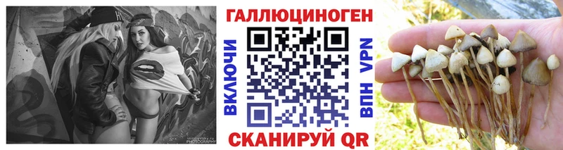 Псилоцибиновые грибы Magic Shrooms  Видное 